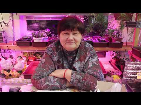 Видео: ПОПОЛНЕНИЕ В СЕМЕЙСТВЕ!