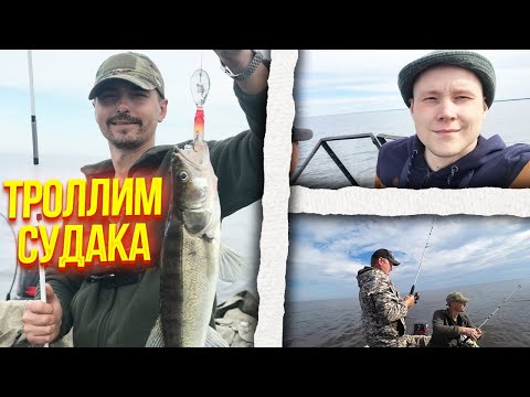Видео: Долгожданная Рыбалка 2023. Троллим судака на Белом озере!