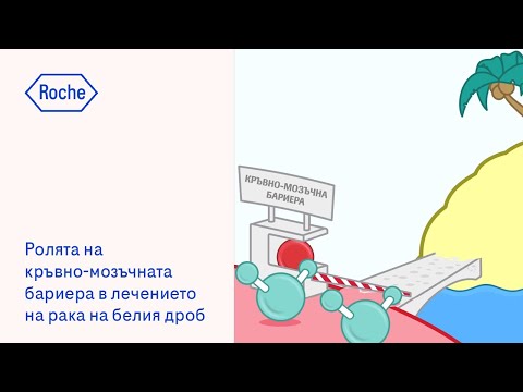 Видео: Ролята на кръвно-мозъчната бариера в  лечението на рака на белия дроб