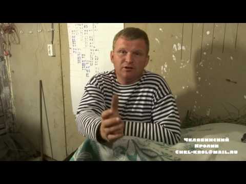 Видео: Чем лучше кормить кроликов #14