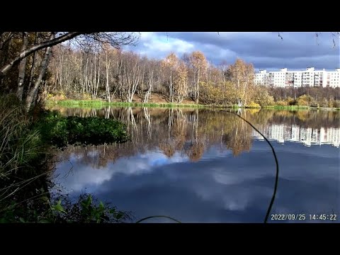 Видео: Мурманск озеро Глубокое 1 часть
