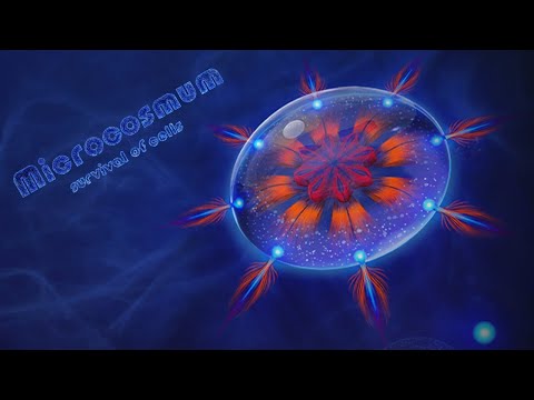 Видео: Microcosmum: Survival Of Cells #6 | Static - FULL WALKTHROUGH | Статик - ПОЛНОЕ ПРОХОЖДЕНИЕ