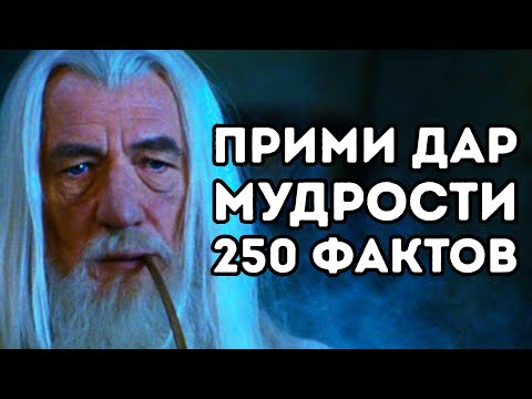 Видео: 250 интересных фактов о нашем мире которые тебя удивят