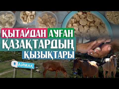 Видео: Qаймақ: Қаратал ауылы