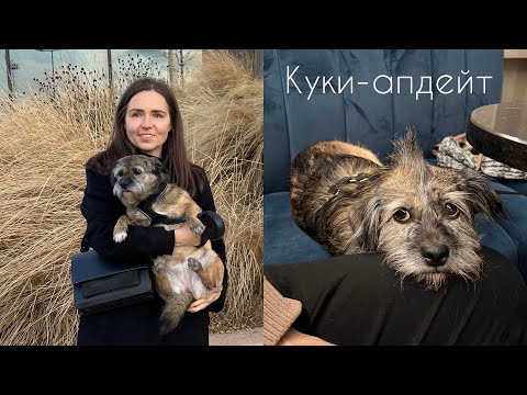 Видео: как дела у Куки? 2 года дома