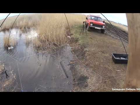 Видео: Болотный ручей меня не подвёл. Рыбалка на паук.