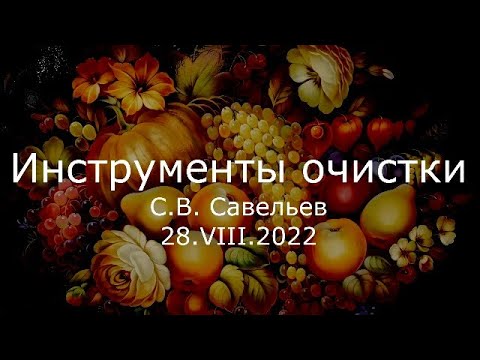 Видео: С.В. Савельев - Инструменты очистки