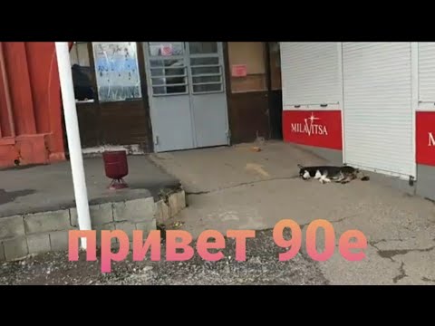 Видео: Майкоп. Черёмушки 🤪 #737