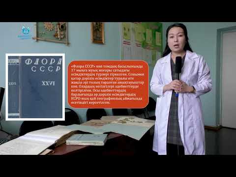 Видео: Сулейменова Н.М. Дәрілік өсімдіктерді жинау, кептіру тәсілдері