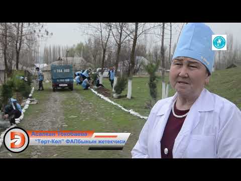 Видео: Мырза-Арык айылы