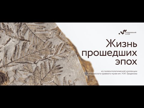 Видео: Выставка «Жизнь прошедших эпох».