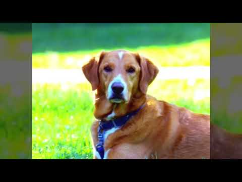 Видео: Re:Kinder 08 [RPG Maker, прохождение, ФИНАЛ]