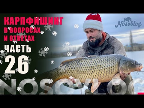 Видео: Карпфишинг в вопросах и ответах, выпуск 26 "Новогодний", А. Колесников