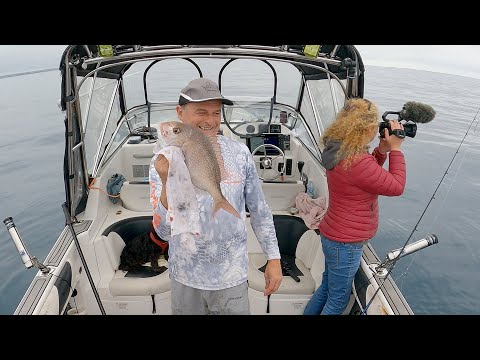 Видео: Happy Fisherman EP150 Морская рыбалка и наблюдение за китами