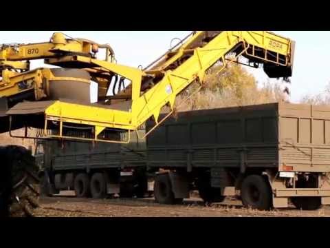 Видео: Погрузка сахарной свеклы Тамбовская обл д Марьино