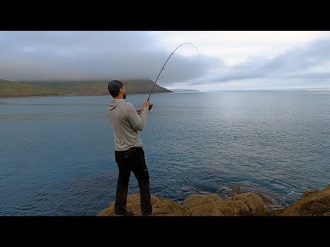 Видео: Ловля минтая, губана и окуня на приманку | День 1 и 2 | Ловля на приманку в Великобритании | Рыба...