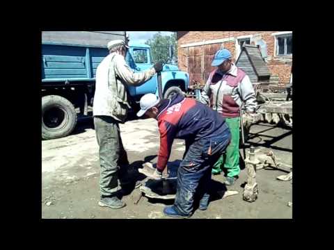 Видео: Борона дисковая тяжелая БДТ-3 | Нарезка  фрагментов ремонта и работы в агрегате с МТЗ-1221