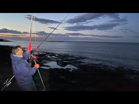 Видео: Ловля трески в Нортумберленде #ловлятрески #нортумберленд #охотникнатреску