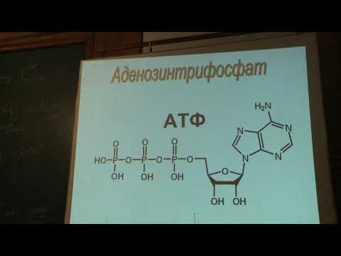 Видео: Дядченко В. П. - Методы органической химии - 23. Реакция Михаэля. Реакция аннелирования