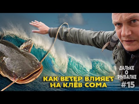 Видео: Влияние ветра на клёв сома - Где ловить сома | Дальке о рыбалке 15