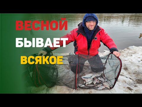 Видео: ловля весной на реке