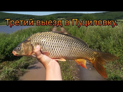 Видео: Пуциловское Водохранилище. 14 Дней на Природе. Дикие Сазаны Оторвали Поводки.