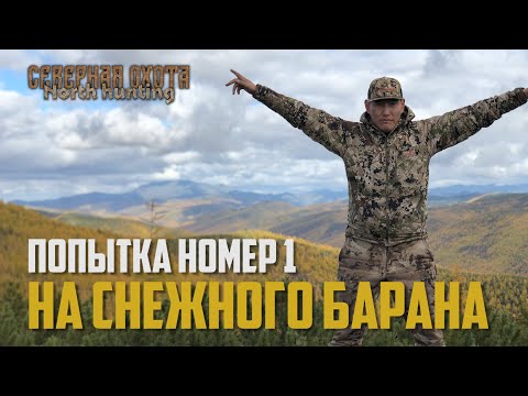 Видео: Попытка номер 1 на СНЕЖНОГО БАРАНА. СЕВЕРНАЯ ОХОТА - NORTH HUNTING. Охота на Горного барана.