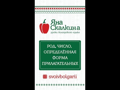 Видео: Болгарский язык. 11. Род, число, определенная форма прилагательных
