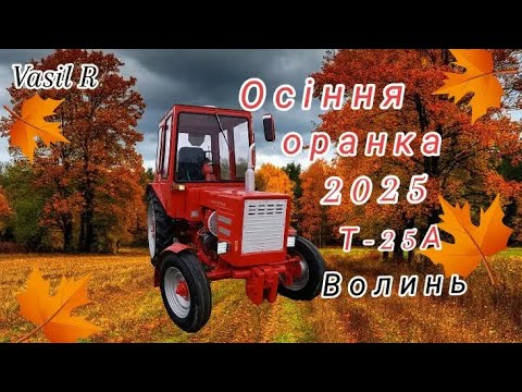 Видео: Т-25А 🍁Осіння оранка🍁 під посів ТРИТИКАЛЕ🍂