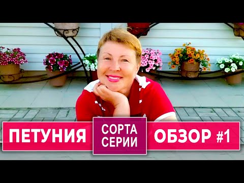 Видео: ПЕТУНИЯ. Обзор ампельных петуния  по сортам и сериям. Часть первая