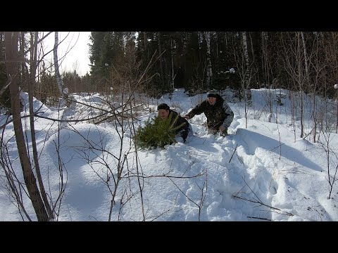 Видео: Закрываем сезон охоты, готовим драники