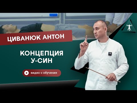 Видео: У-Син в прикладной кинезиологии