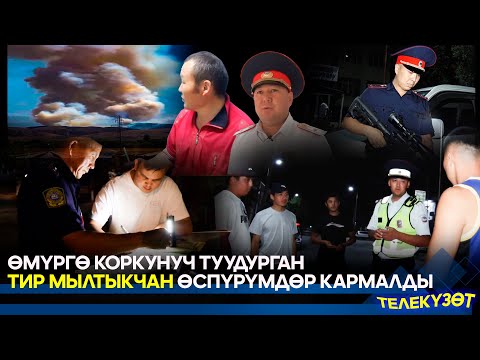 Видео: Кара-Балтада катарынан кармалган мас айдоочулар // ТЕЛЕКҮЗӨТ