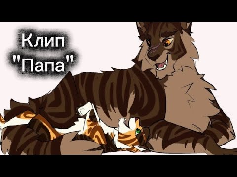 Видео: Коты-воители/Рыжинка/Клип/"Папа"/@MaryGusarova 