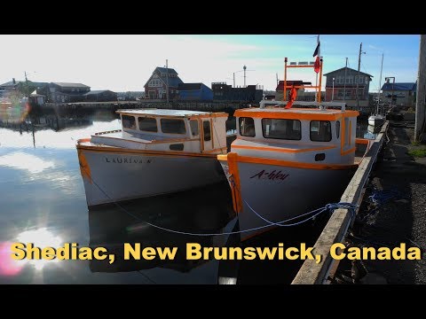 Видео: Рыбаки ловили рыбу, а поймали...лобстера...Рыбалка в Шедиаке, Канада