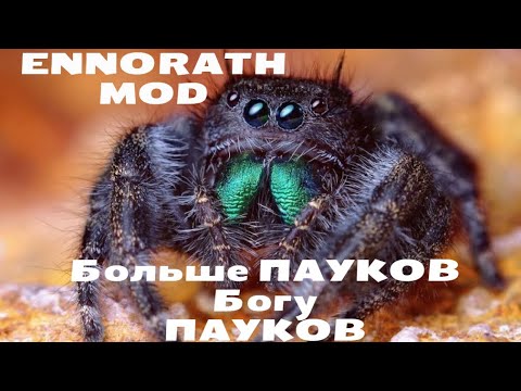 Видео: МЫ В ШОКЕ ОТ УПЁРТОСТИ СЕДОГО: ENNORATH MOD