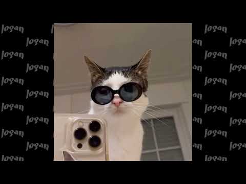 Видео: рандом треки (speed up)