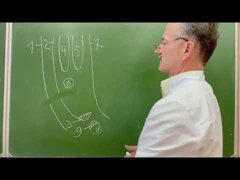 Видео: Пластика по Руджи-Парлавеччо при бедренных грыжах