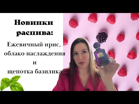 Видео: Новинки распива: IRIS MALIKA - Ежевичный ирис, облако наслаждения и щепотка базилика