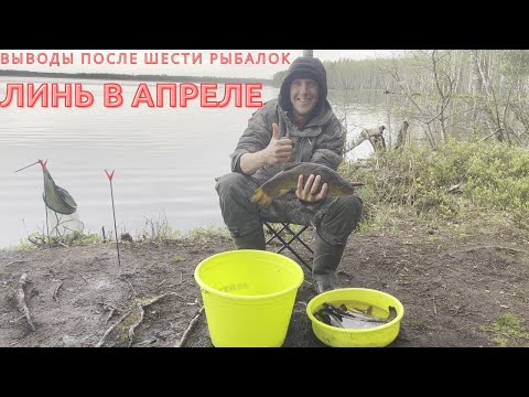 Видео: Линь в апреле, Итоги после 6 рыбалок!