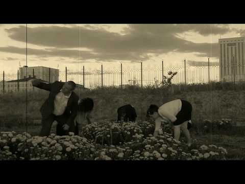 Видео: Служебный "роман". НИШ ХБН г.Шымкент