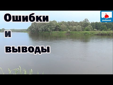Видео: Поймать голавля на майского жука