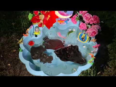 Видео: Чистка во время ПОЛНОГО ЛУННОГО ЗАТМЕНИЯ ОТ ГЛУБОКОГО НЕГАТИВА!!👁💫💋