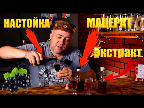 Видео: Лучшая настойка из черной смородины  Мацерат Водочка и Экстракт из Черной смородины