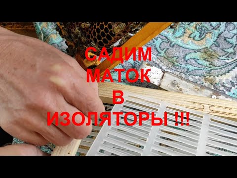 Видео: КОГДА ИЗОЛИРОВАТЬ МАТОК В ЗИМУ ??? ЧТО ПОКАЗЫВАЕТ РЕАЛЬНАЯ ПРАКТИКА ???