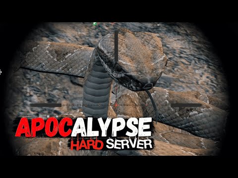 Видео: APOCALYPSE  DAYZ ❗ ОСТОРОЖНО ЗДЕСЬ ЗМЕИНАЯ ОХОТА #dayz