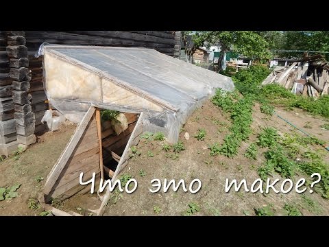 Видео: Что это такое?