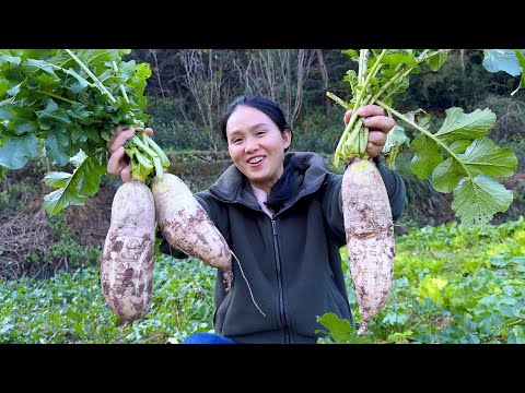 Видео: Ешьте редис зимой. Баранина, тушенная с редисом, очень вкусна и хорошо сочетается с рисом.