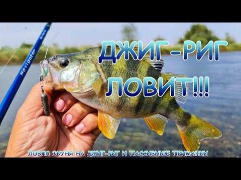 Видео: Окунь на Джиг-Риг и пассивные приманки!