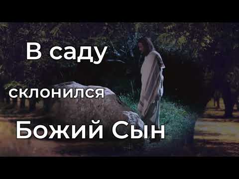 Видео: В саду склонился Божий Сын♫Прославление Песня♫